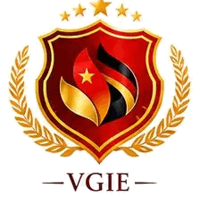 VGIE