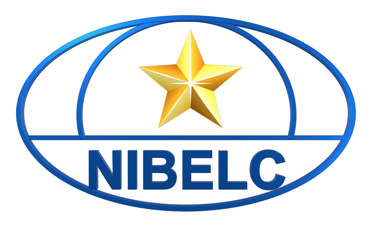 Nibelcgroup Vietnam